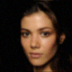 Colorization input