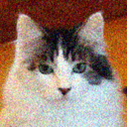 denoising input